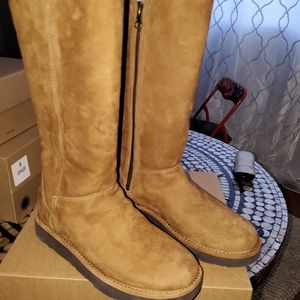 NEW UGG boots